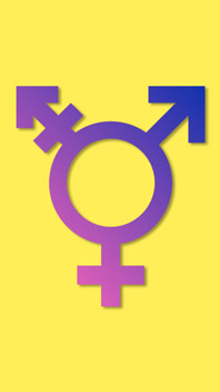 Discounted Tranny Porn Sites