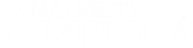 Naughty America Network logo